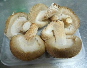 しいたけのオーブン春巻き1