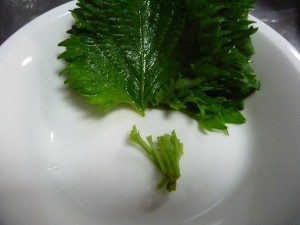 豚肉とたけのこのしそ炒め3