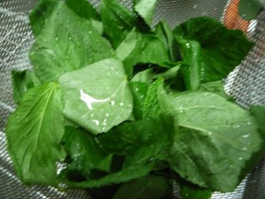 モロヘイヤの冷ややっこのせ1